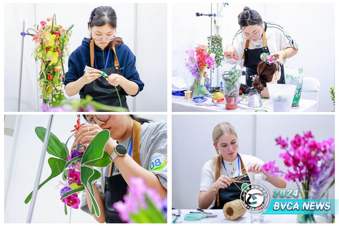 微信圖片_20241015121054_副本