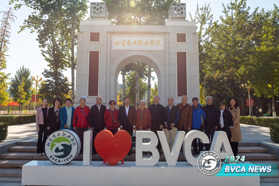 A73A6187-已增強-降噪(1)_副本