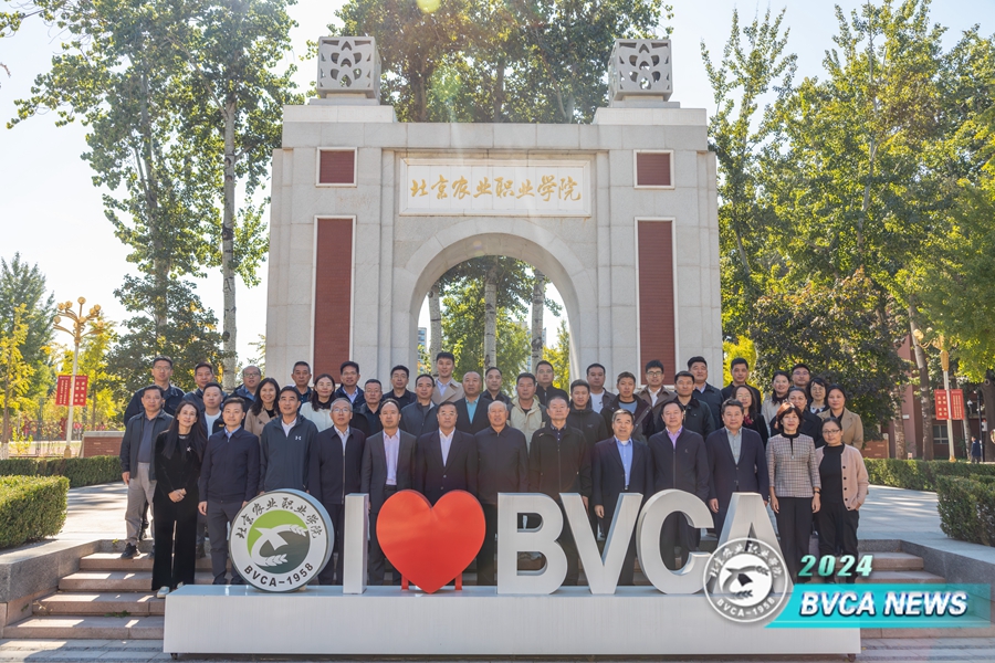 A73A6124-已增強-降噪_副本